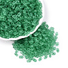 FGB Frosted Transparent Glass Seed Beads SEED-N013-06A-09-1