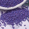 MIYUKI Delica Beads X-SEED-J020-DB0880-1