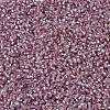 MIYUKI Delica Beads SEED-X0054-DB1434-3