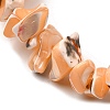 Natural Trochid Shell/Trochus Shell Beads Strands SHEL-B003-02B-3