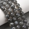 Natural Labradorite Beads Strands G-J120-28-8mm-A-1