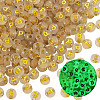 50G Luminous Transparent Acrylic Beads OACR-TAD0001-01P-3