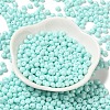 6/0 Opaque Baking Paint Glass Seed Beads SEED-M012-02A-04-2