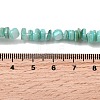 Natural Freshwater Shell Beads SHEL-B003-01B-4