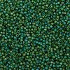 TOHO Round Seed Beads X-SEED-TR11-0167BF-2