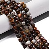 Natural Mexico Crazy Agate Beads Strands G-L615-A01-01-2