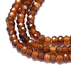 Natural Garnet Beads Strands G-G106-A37-01-3