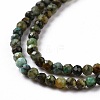 Natural African Turquoise(Jasper) Beads Strands G-P472-02-3