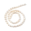 Natural Cultured Freshwater Pearl Beads Strands PEAR-I007-01B-04B-3