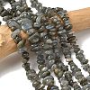 Natural Labradorite Beads Strands X-G-I225-15A-1