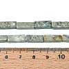 Natural Variscite Beads Strands G-T141-108-5