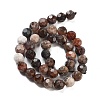 Natural Petrified Wood Beads Strands G-C150-B01-02-4