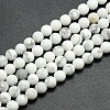 Frosted Howlite Round Bead Strands G-M064-10mm-12-1