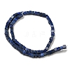 Natural Lapis Lazuli Beads Strands G-F631-K28-3