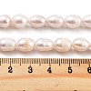 Natural Cultured Freshwater Pearl Beads Strands PEAR-P062-15C-5