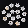Frosted Transparent Acrylic Beads X-OACR-N137-72A-2