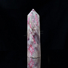 Natural Plum Blossom Tourmaline Pointed Prism Bar Home Display Decoration G-PW0007-101C-1
