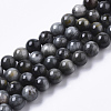 Natural Hawk's Eye Beads Strands G-R462-047C-AB-1