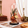 Arch Glass Dome Cover AJEW-WH0596-866E-03-4