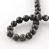 Natural Labradorite Round Bead Strands G-R342-10mm-09-3