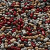 Opaque Baking Paint Glass Seed Beads SEED-K009-01A-30-3