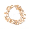 Natural Trochid Shell/Trochus Shell Beads SSHEL-T012-17-3