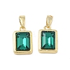 Brass Glass Charms KK-L256-20G-1