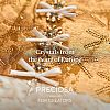 Preciosa® Crystal Hotfix Flatback Stones Y-PRC-HSS16-00030-279-3