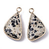 Natural Dalmatian Jasper Pendants G-N326-32F-2