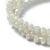 Electroplate Glass Beads Strands EGLA-J147-A-FR04-3