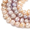 Natural Cultured Freshwater Pearl Beads Strands PEAR-L034-10C-4