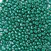 6/0 Glass Seed Beads X-SEED-A017-4mm-1118-2
