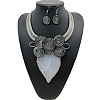 Alloy & Aluminum Dangle Earrings & Necklaces Sets FS-WG3CCA6-05-1