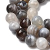 Natural Botswana Agate Beads Strands G-H334-A01-04-4