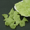 Transparent Acrylic Bead Caps LS-X-PL551-C18-2