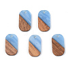 Opaque Resin & Walnut Wood Pendants RESI-S389-023A-C-2