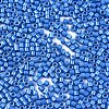 11/0 Grade A Baking Paint Glass Seed Beads X-SEED-S030-1042-2