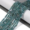 Natural Apatite Beads Strands G-F748-J01-02A-2