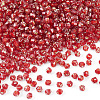 Picasso Baking Paint Glass Seed Beads SEED-TA0001-62I-2