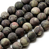 Natural Ocean Jasper Bead Strands G-Q462-71-10mm-1