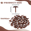 60Pcs Iron Round Head Nails CABI-LP0001-02R-2