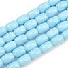 Opaque Glass Beads Strands GLAA-Z015-02E-1