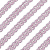 Polyester Braided Lace Ribbons OCOR-WH0060-73E-1