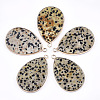 Natural Dalmatian Jasper Pendants G-T112-22C-1