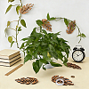 6Pcs Wood Wall Fixture Clips AJEW-FG0005-96B-4