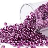 TOHO Round Seed Beads SEED-JPTR08-0563-1