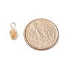 Natural Freshwater Shell Charms PALLOY-JF01657-5
