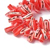 Dyed Natural Trochus Shell Beads Strands SSHEL-C013-09D-3