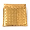 Polyethylene & Aluminum Laminated Films Package Bags LS-OPC-K002-03C-1