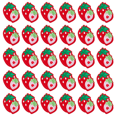 30Pcs Strawberry Computerized Embroidery Cloth Iron on/Sew on Patches PATC-FG0003-73A-1